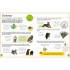 DK Visual Guide to Grammar and Punctuation