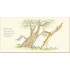 Sam McBratney Guess How Much I Love You (25th Anniversary Edition)