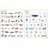 Usborne 1000 Things That Go