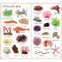Usborne 199 Things at the Seaside