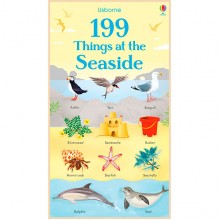 Usborne 199 Things at the Seaside