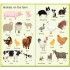 Usborne 199 Things on the Farm
