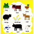 Usborne Baby's Very First Play Book: Farm Words