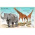 Usborne Big Book of Animals