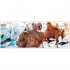 Usborne Big Book of Animals