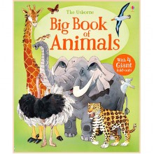 Usborne Big Book of Animals