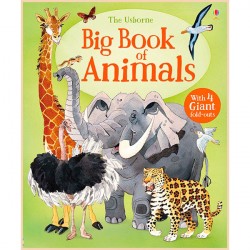 Usborne Big Book of Animals