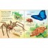Usborne Big Book of Bugs