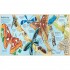 Usborne Big Book of Bugs