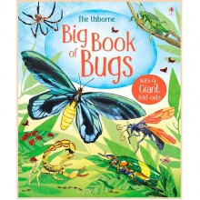 Usborne Big Book of Bugs