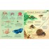 Usborne Big Book of Bugs
