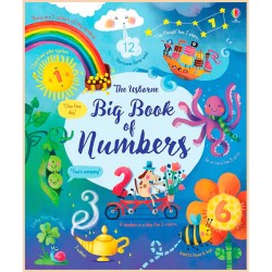 Usborne Big Book of Numbers
