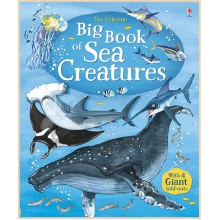 Usborne Big Book of Sea Creatures
