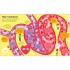 Usborne Big Book of The Body