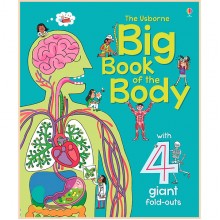 Usborne Big Book of The Body