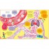 Usborne Big Book of The Body