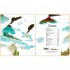 Usborne Big Picture Book Dinosaurs