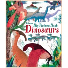 Usborne Big Picture Book Dinosaurs