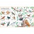 Usborne Big Picture Book of Outdoors