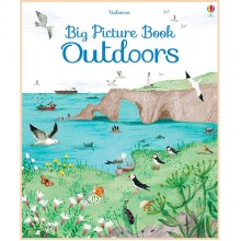 Usborne Big Picture Book of Outdoors