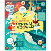 Usborne Big Picture Book of General Knowledge