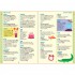 Usborne First Illustrated English Dictionary