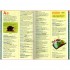Usborne Junior Illustrated English Dictionary and Thesaurus