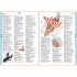 Usborne Illustrated English Dictionary