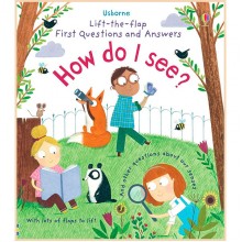 Usborne Lift-the-Flap First Questions and Answers How Do I See?