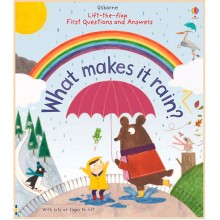 Usborne Lift-the-Flap First Questions and Answers What Makes it Rain?