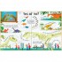 Usborne Lift-the-Flap Questions and Answers about Dinosaurs