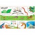 Usborne Lift-the-Flap Questions and Answers about Animals