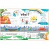 Usborne Lift-the-Flap Questions and Answers