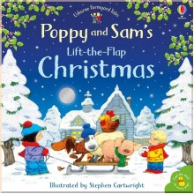 Usborne Poppy and Sam's Lift-the-Flap Christmas