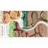 Usborne Look Inside Animal Homes