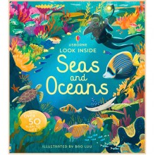 Usborne Look Inside Seas and Oceans
