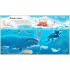 Usborne Look Inside Seas and Oceans