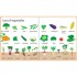 Usborne My First Word Book about Food