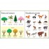 Usborne My First Word Book About Nature