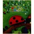 Usborne Peep Inside the Garden