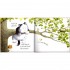 Usborne Fat Cat on a Mat and Other Tales with CD