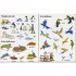 Usborne First Sticker Book Zoo