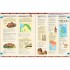Usborne Timelines of World History