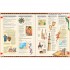 Usborne Timelines of World History