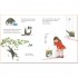 HarperCollins Children’s Books Mog the Forgetful Cat