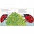 The Bad-Tempered Ladybird PB