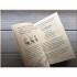 Diary of a Wimpy Kid: Double Down (Book 11)