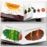 The Very Hungry Caterpillar Board Book