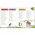 DK My Encyclopedia of Very Important Things