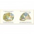 Warne Peter Rabbit Tales – Goodnight Peter